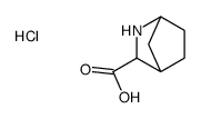 (1S,3R,4R)-2-氮杂二环[2.2.1]庚烷-3-羧酸盐酸结构式