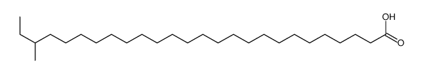 24-methylhexacosanoic acid Structure
