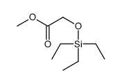 methyl 2-triethylsilyloxyacetate结构式