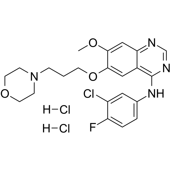4-(3-氯-4-氟苯基氨基)-7-甲氧基-6-[3-(4-吗啉基)丙氧基]喹唑啉二盐酸盐结构式