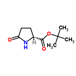 D-焦谷氨酸叔丁酯图片