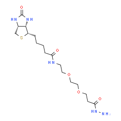 Biotin-PEG2-Hydrazide Structure