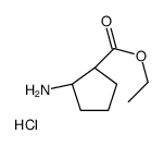 (1R,2R)-ethyl 2-aminocyclopentanecarboxylate hydrochloride structure