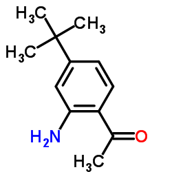 1-(2-AMINO-4-TERT-BUTYL-PHENYL)-ETHANONE Structure