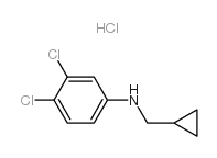 环丙基甲基-(3,4-二氯-苯基)-胺盐酸盐结构式