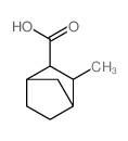 Bicyclo[2.2.1]heptane-2-carboxylicacid, 3-methyl-, (2-exo,3-endo)- (9CI)结构式