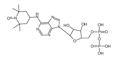 6-(2,2,6,6,-tetramethylpiperidine-1-oxyl)-adenosine diphosphate结构式