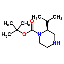 (S)-1-Boc-2-异丙基哌嗪结构式