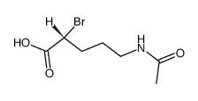 (R)-2-bromo-5-acetamidopentanoic acid Structure