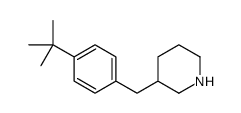 3-[[4-(1,1-DIMETHYLETHYL)PHENYL]METHYL]-PIPERIDINE structure