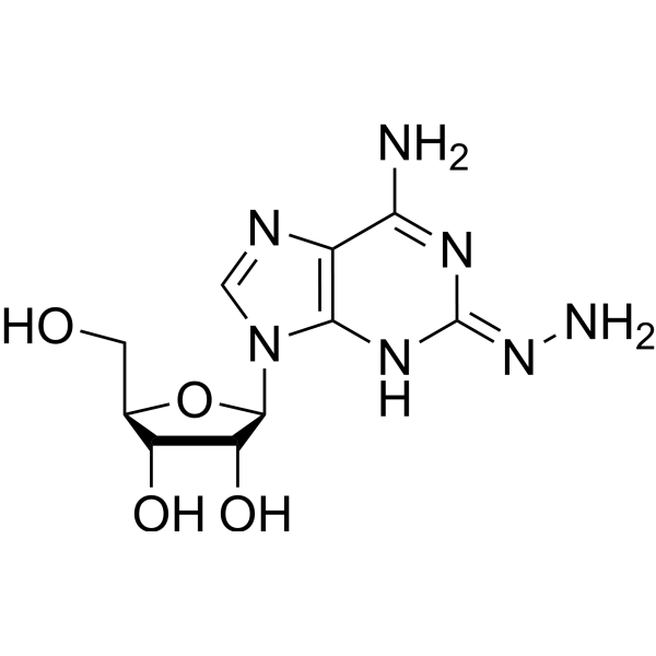2-Hydrazinyl-adenosine Structure