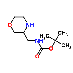 吗啉-3-甲基氨基甲酸叔丁酯图片