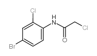 N-(4-溴-2-氯苯基)-2-氯乙酰胺结构式