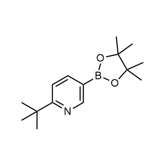 2-(叔丁基)-5-(4,4,5,5-四甲基-1,3,2-二氧硼烷-2-基)吡啶结构式