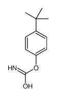 (4-tert-butylphenyl) carbamate结构式