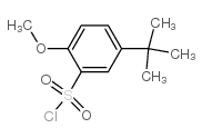 5-叔丁基-2-甲氧基-苯磺酰氯图片