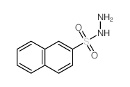 2-Naphthalenesulfonicacid, hydrazide Structure