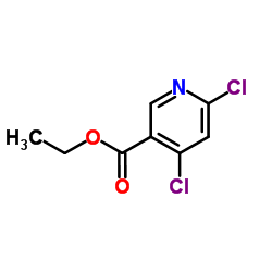 4,6-二氯烟酸乙酯结构式
