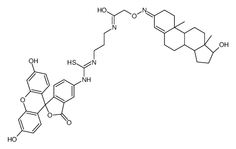 testosterone-DAP-fluorescein picture