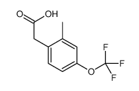 2-METHYL-4-(TRIFLUOROMETHOXY)PHENYLACETIC ACID结构式