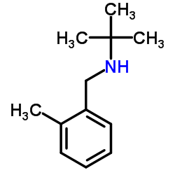 2-Methyl-N-(2-methylbenzyl)-2-propanamine Structure