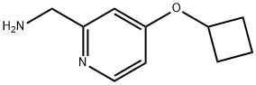 (4-环丁氧基吡啶-2-基)甲胺结构式
