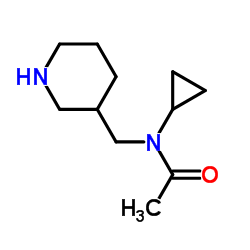 N-Cyclopropyl-N-(3-piperidinylmethyl)acetamide结构式