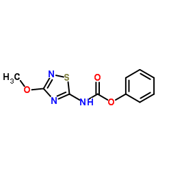 (3-甲氧基-1,2,4-噻二唑-5-氨基)甲酸苯酯结构式