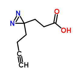 3-(3-(丁-3-炔-1-基)-3H-二氮杂萘-3-基)丙酸结构式