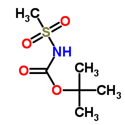 N-甲基磺酰基氨基甲酸叔丁酯结构式