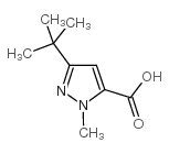 3-tert-Butyl-1-methylpyrazole-5-carboxylic Acid Structure