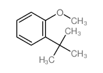 Benzene,1-(1,1-dimethylethyl)-2-methoxy-结构式