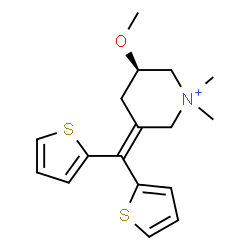 timepidium Structure