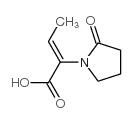 1-Pyrrolidineaceticacid,alpha-ethylidene-2-oxo-,(alphaZ)-(9CI) Structure