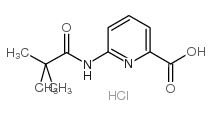 6-(2,2-二甲基丙酰基氨基)吡啶-2-羧酸盐酸盐结构式