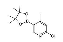 2-氯-4-甲基-5-(4,4,5,5-四甲基-1,3,2-二氧硼杂环戊烷-2-基)吡啶结构式