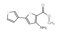 3-氨基-5-(噻吩-3-基)噻吩-2-羧酸甲酯结构式
