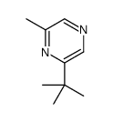 2-(1,1-Dimethylethyl)-6-methylpyrazine结构式
