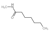 N-methylheptanamide Structure