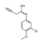 N-(3-氯-4-甲氧基-苯基)-2-氰基乙酰胺结构式