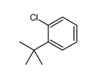 1-Chloro-2-(2-methyl-2-propanyl)benzene Structure