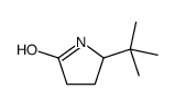 5-tert-butylpyrrolidin-2-one结构式