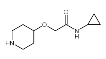 N-Cyclopropyl-2-(piperidin-4-yloxy)acetamide Structure