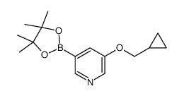 3-(环丙基甲氧基)-5-(4,4,5,5-四甲基-1,3,2-二氧硼戊烷-2-基)吡啶结构式