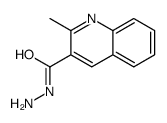 2-Methyl-3-quinolinecarbohydrazide Structure