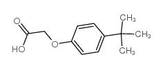 2-(4-(叔丁基)苯氧基)乙酸结构式