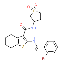 2-[(2-bromobenzoyl)amino]-N-(1,1-dioxidotetrahydro-3-thienyl)-4,5,6,7-tetrahydro-1-benzothiophene-3-carboxamide Structure