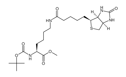methylN2-(tert-butoxycarbonyl)-N6-(5-((3aS,4S,6aR)-2-oxohexahydro-1H-thieno[3,4-d]imidazol-4-yl)pentanoyl)-L-lysinate Structure