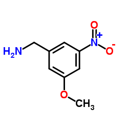 (3-甲氧基-5-硝基苯基)甲胺结构式