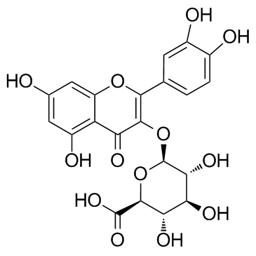 Quercetin-3-O-glucuronide structure